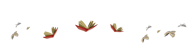 Books narrow 4 CROP